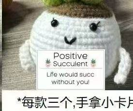 白盆大肉的盆-定制