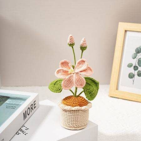 新品-三色油桐花盆栽-粉色